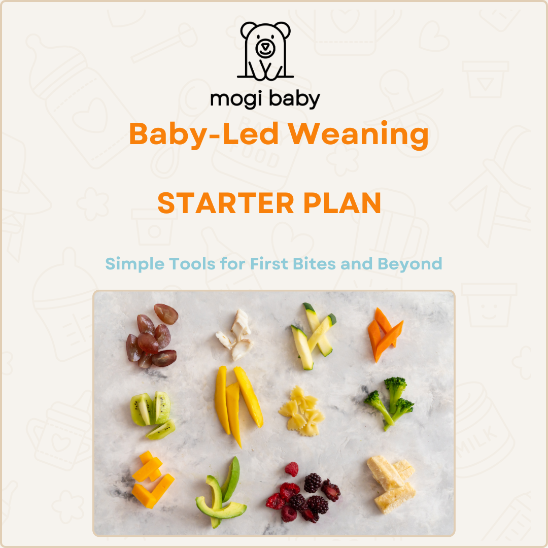 BLW Starter Plan